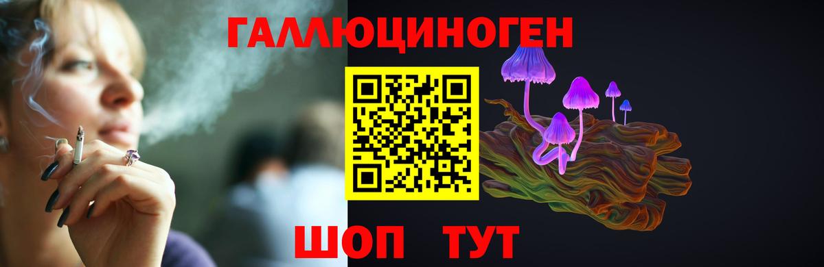 Галлюциногенные грибы ЛСД Горно-Алтайск